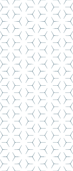 fond-ruche-abeille-4